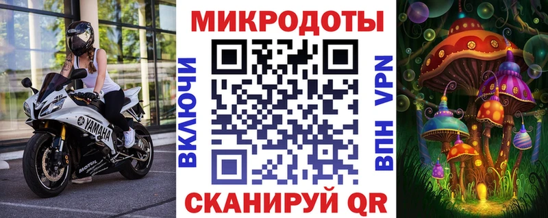 Галлюциногенные грибы Cubensis Циолковский